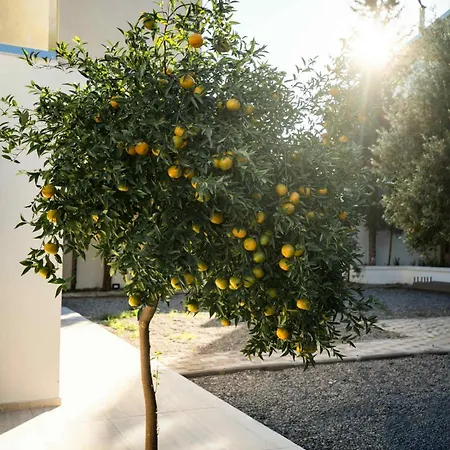 Villa Kennedy Faliraki
