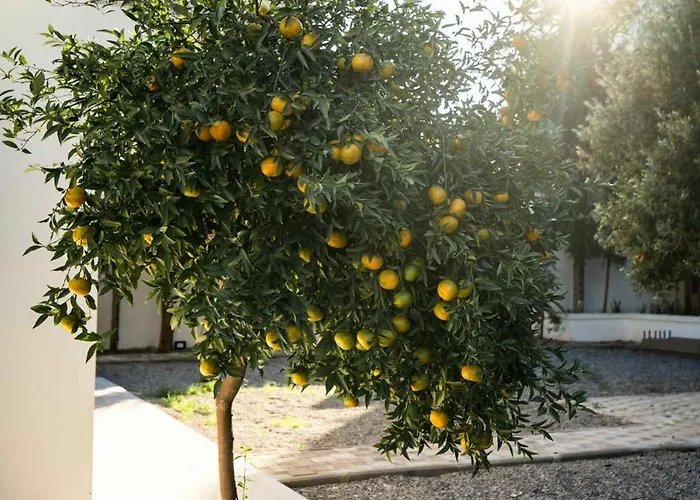 Villa Kennedy Faliraki